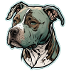 American Staffordshire Terrier