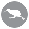 KIWI - Bird - New Zealand