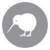 KIWI - Oiseau - Nouvelle-Zélande