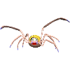 Spiderwoman