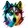 Rainbow Husky