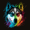 Rainbow Husky