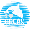 Orcas sind mein Geisttier