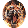 Tiger on fire
