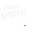 I think I spider