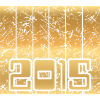Year 2015