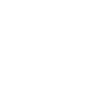 den 2019