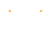 Gastroenterology, Gastroenterologist