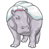 Hippo Bride Wedding