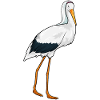 Stork Bride Veil Wedding