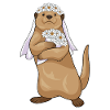 Otter Bride Flowers Wedding