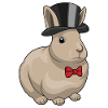 Hase Bräutigam Zylinder Hochzeit