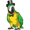 Parrot Groom Cylinder Wedding
