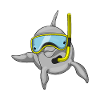 Dolphin Diver Snorkel Diving