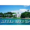 never give up