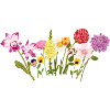 Blumenwiese