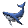 Blauer Orca-Wal-Geschenk