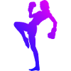 Kickboxeur Hommes Boxe Boxe Féminine