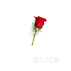 I prefer Black _ Cut Pink