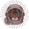 Cat Astronaut