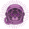 Chat de l’espace