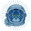 Cat Space Scifi