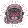 Cat Cat Space