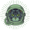 CAT dans l’ESPACE