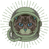 Cat Spaceman