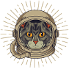 Spaceman Cat