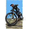 Downhill MTB