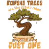 Bonsai Humor Plants Gardening
