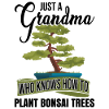 Grandma Bonsai Tree Gardening