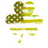 USA Clover Lucky Charm États-Unis