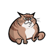 Gros chat