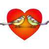 Oiseaux