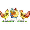 Hens and rooster