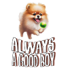 Pomeran always a good boy