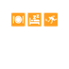 Squash
