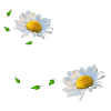 Ingrid