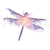 Wild soul