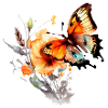 Aquarelle papillon sur une fleur
