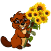 Beaver with bouquet of sunflowers