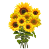 Sunflower bouquet