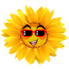 Sunflower with a funny face