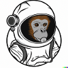 SPACE MONKEY