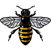 Bee Whisperer - Abeille - Apiculteur - Miel