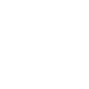 koala blanc