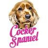 Cocker spaniel