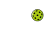 Poussin de pickleball